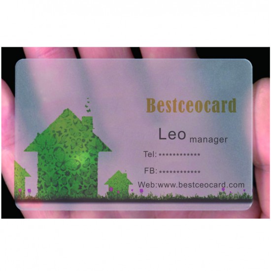 Factory cheap price Free Design Matte Face PVC Plastic Transparent Business Cards - Real Estate Agency template #1